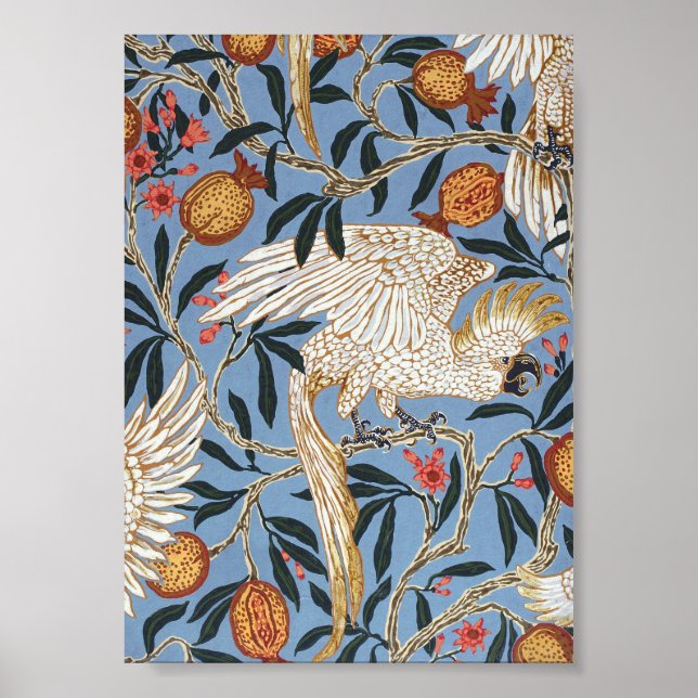 Póster Cockatoo retro vintage y patrón de granada (Frente)