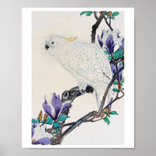 Póster Cockatoo y Lily Magnolia, Imao Keinen