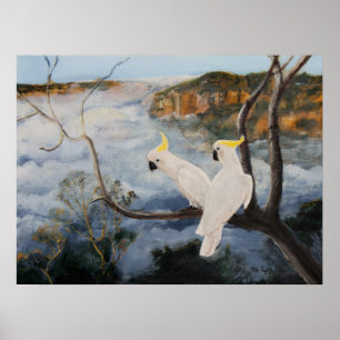 Póster Cockatoos con cresta del azufre en las montañas