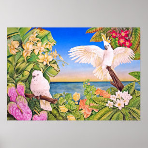 Póster Cockatoos Sulfer-con cresta