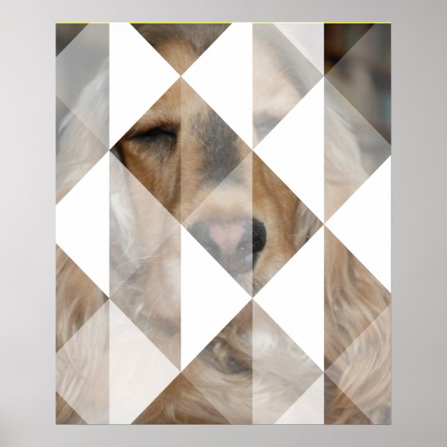 Póster Cocker Spaniel (Frente)