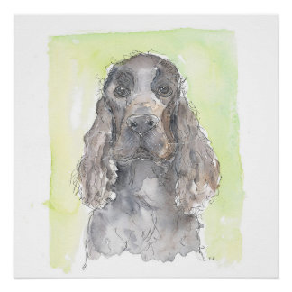 Póster Cocker Spaniel