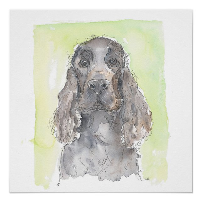 Póster Cocker Spaniel (Anverso)