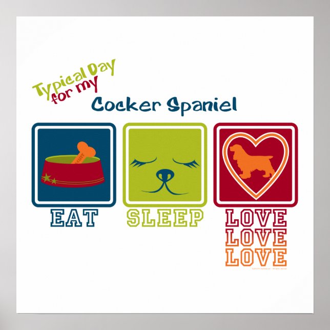 Póster Cocker Spaniel (Frente)