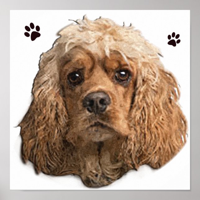 Póster Cocker Spaniel (Frente)