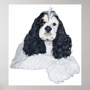 Póster Cocker Spaniel Americano