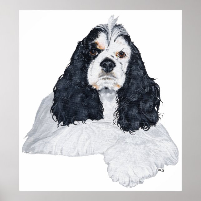 Póster Cocker Spaniel Americano (Frente)