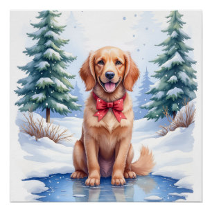 Póster Cocker Spaniel Americano de Agua Estanque Congelad