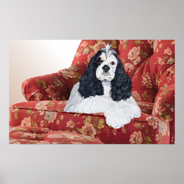 Póster Cocker Spaniel Americano en Silla Roja (Frente)