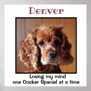 Póster Cocker Spaniel con cita Personalizado Wall Art