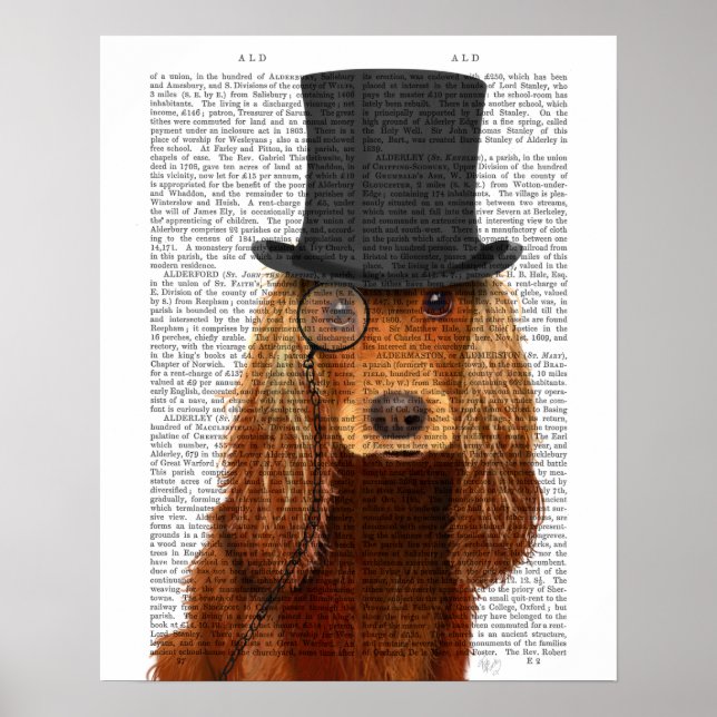 Póster Cocker Spaniel, Hound formal y Gorra (Frente)