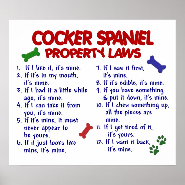 PÓSTER COCKER SPANIEL PL2 (Frente)