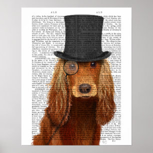 Póster Cocker Spaniel, zanahoria formal y Gorra
