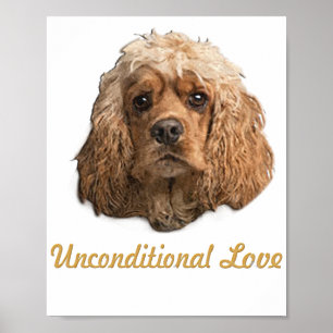 Póster cocker Spaniels