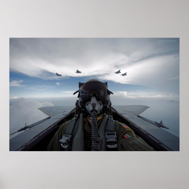 Póster Cockpit Selfie (Frente)