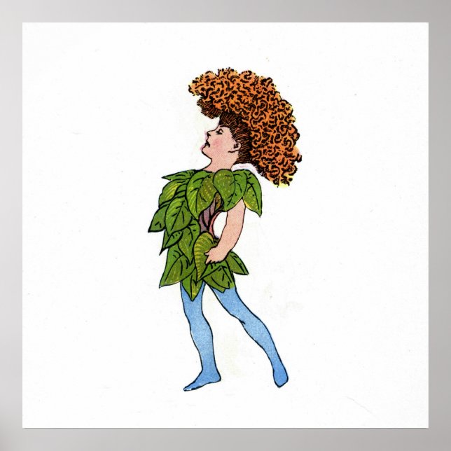 Póster Cocks-Comb (Frente)