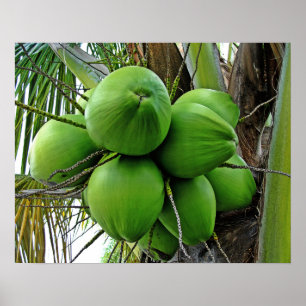 Póster Coco