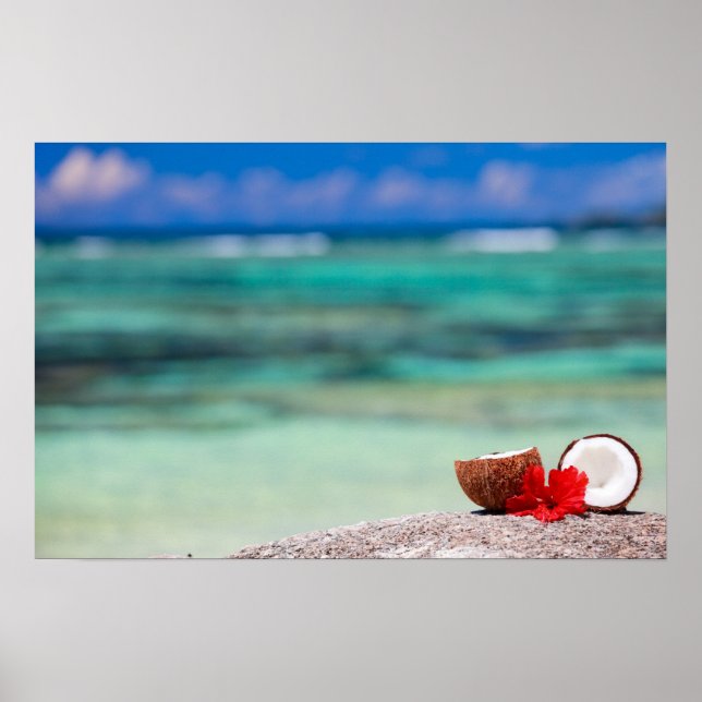 Póster Coco con flores tropicales en una costa exótica (Frente)