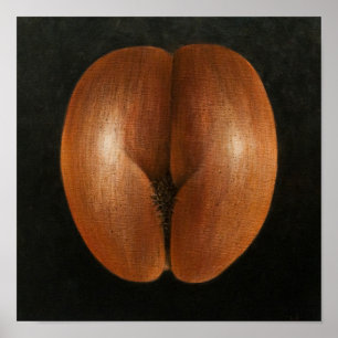 Póster Coco de Mer 2010