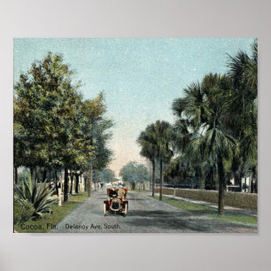 Póster Cocoa FL, Florida, Delaroy Ave, c1910 Vintage