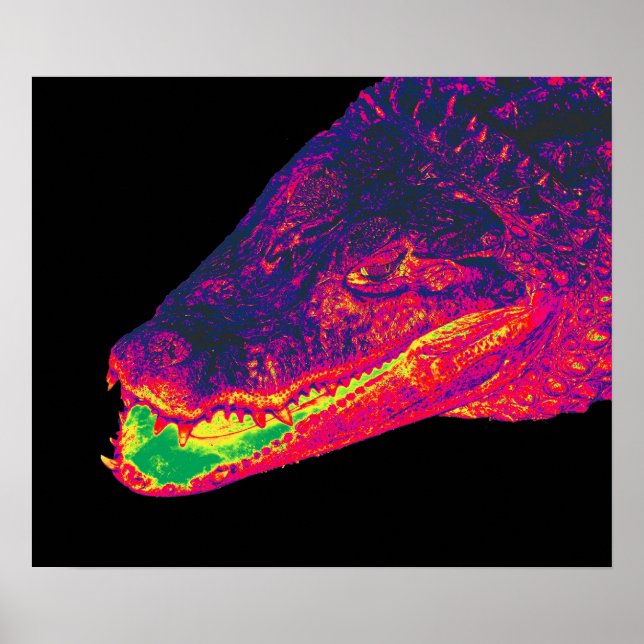 Póster Cocodrilo / Cabeza de lagarto, artístico (Frente)