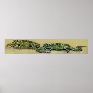 Póster Cocodrilos