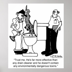 Póster Cocodrilos como limpiadores del dren