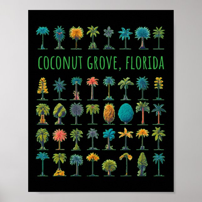 Póster Coconut Grove Florida (Frente)
