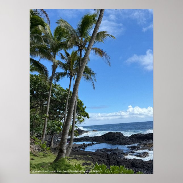 Póster Coconut Palm Beach Hawaii Poster @3dudes1life (Frente)