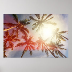Póster Coconut Palm Trees Against the Sun