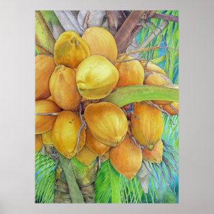 Póster Cocos dorados