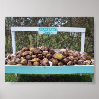 Póster Cocos en marcha