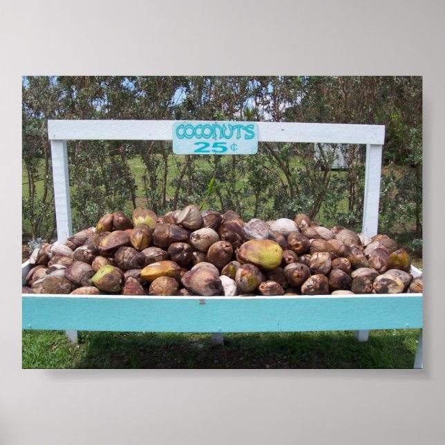 Póster Cocos en marcha (Frente)