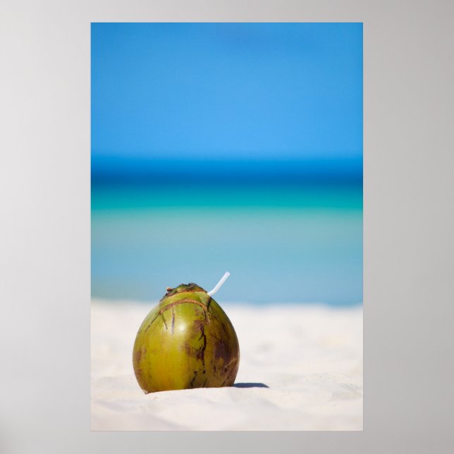 Póster Cocoteros en la playa (Frente)