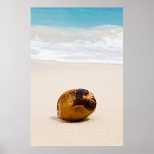 Póster Cocoteros en una playa tropical