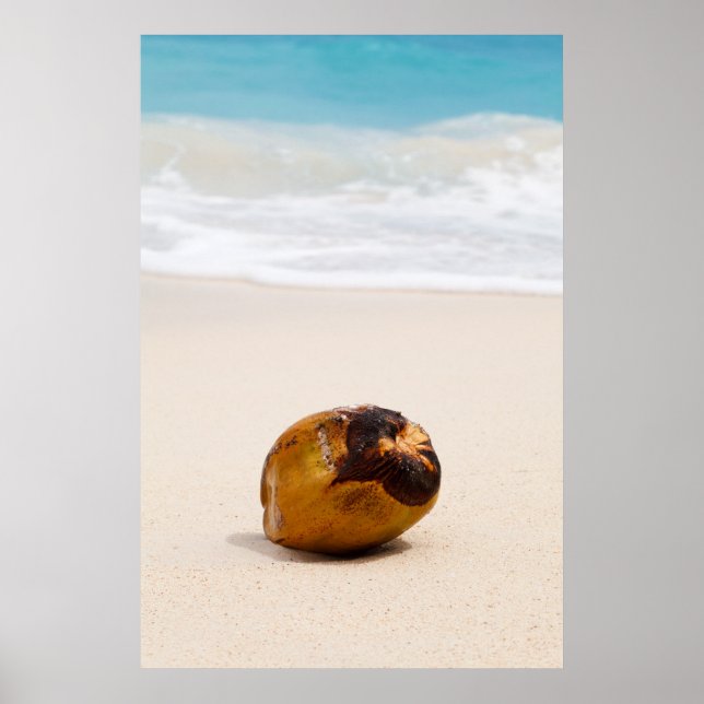 Póster Cocoteros en una playa tropical (Frente)