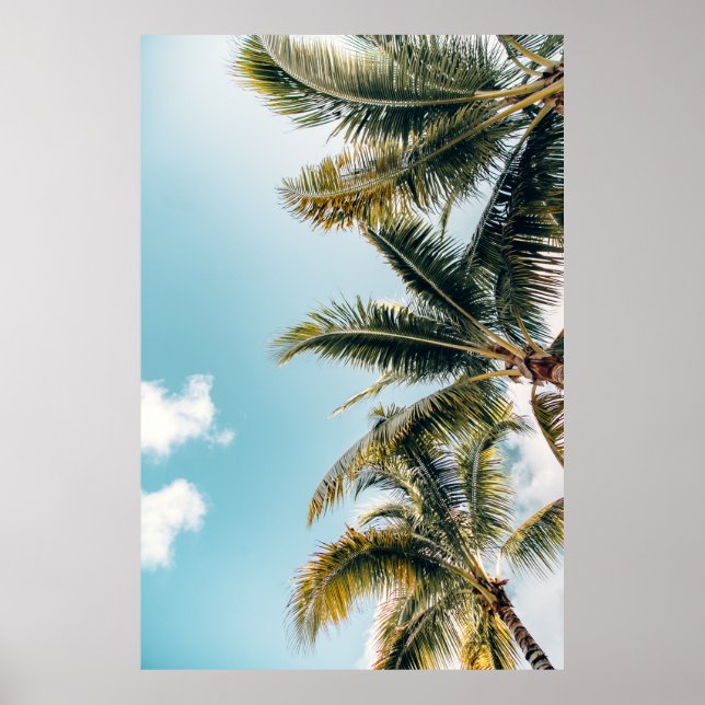 Póster Cocoteros verdes (Frente)