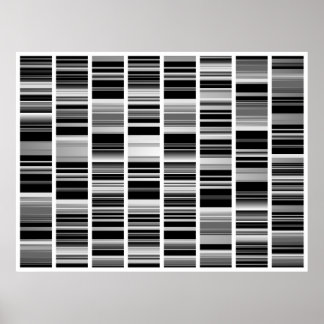 Póster Codex