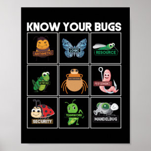 Póster Codificación de programadores Conoce tus fallos