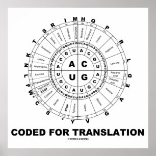 Póster Código De Traducción (Rueda De Codón RNA)
