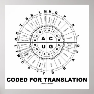 Póster Código De Traducción (Rueda De Codón RNA)