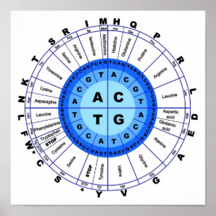 Póster Código Genético de ADN Círculo Gene Codon Amino Ác