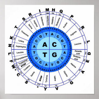 Póster Código Genético de ADN Círculo Gene Codon Amino Ác