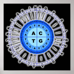 Póster Código Genético De ADN Círculo Gene Codon Amino Ác