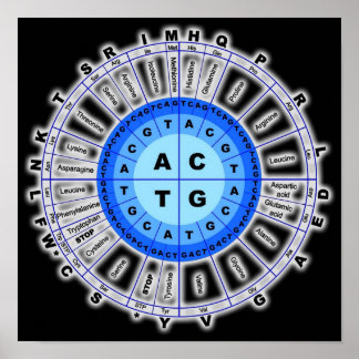 Póster Código Genético De ADN Círculo Gene Codon Amino Ác