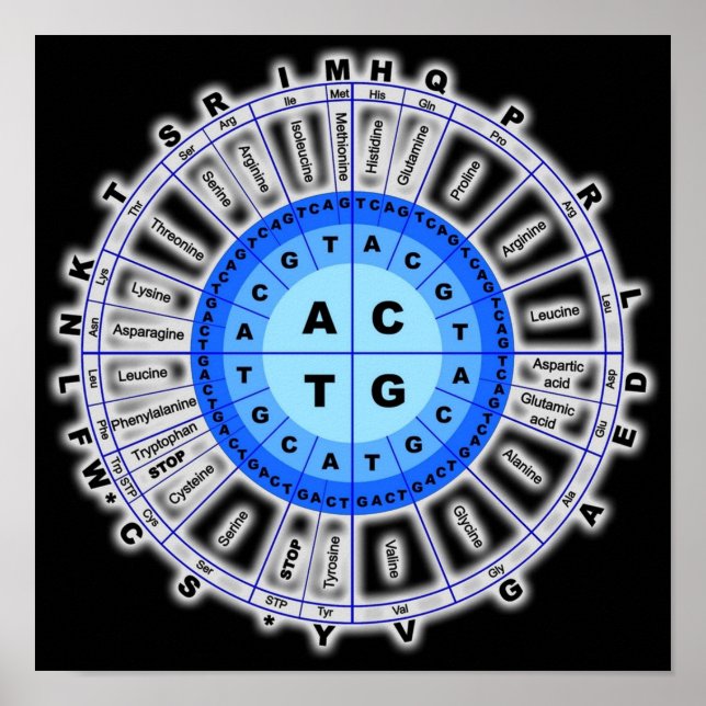 Póster Código Genético De ADN Círculo Gene Codon Amino Ác (Frente)