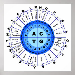 Póster Código Genético de ADN Círculo Gene Codon Amino Ác