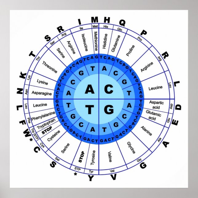 Póster Código Genético de ADN Círculo Gene Codon Amino Ác (Frente)