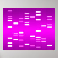Código genético de ADN Magenta rosa