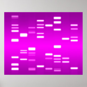 Póster Código genético de ADN Magenta rosa